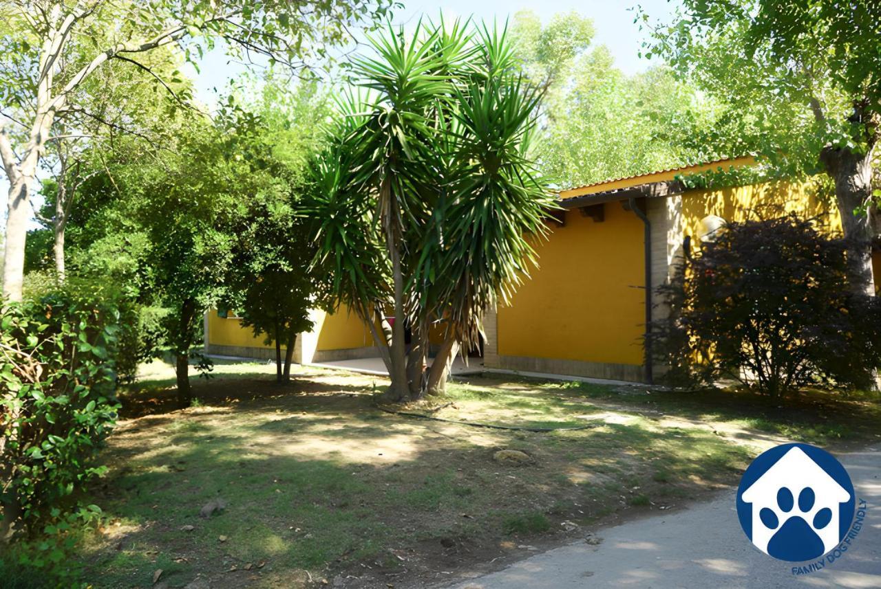 Club Del Sole La Risacca Family Collection Hotel Porto Sant'Elpidio Exterior photo