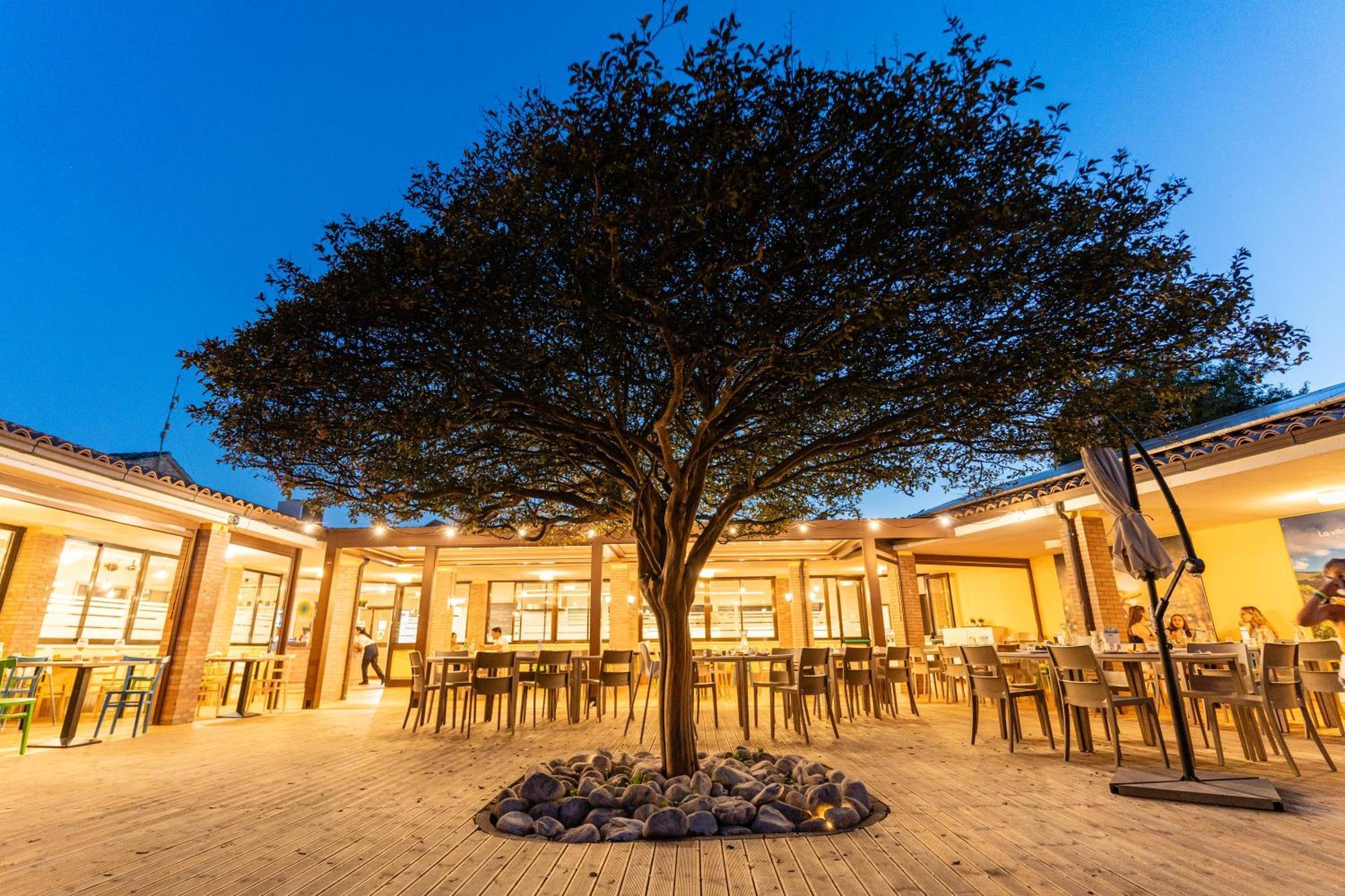 Club Del Sole La Risacca Family Collection Hotel Porto Sant'Elpidio Exterior photo